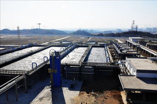 安庆石化春节期间水铁两路卸供煤总量达4.8万余吨